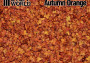 Leaf Litter – Autumn Orange (10 g)