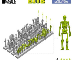 3D Printed Set Human Skeletons – 3D-gedruckte menschliche Skelette (4 Stück)