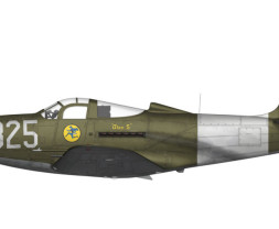 1:48 Bell P-39 Airacobra Recon