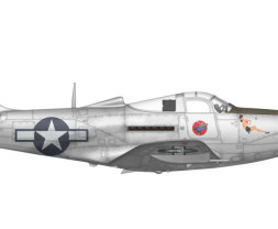 1:48 Bell P-39 Airacobra Recon