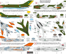 1:72 MiG-19S / Shenyang F-6